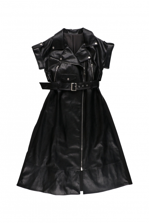 BACK PLEATS RIDERS DRESS